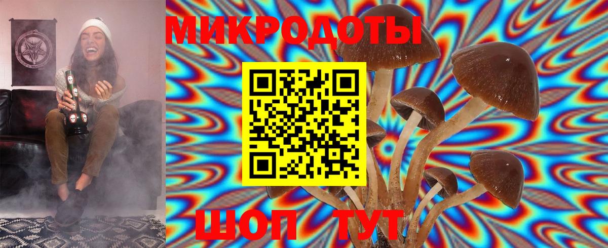 Псилоцибиновые грибы мицелий Углич